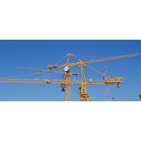 Башенный кран SYM D200F10 (FL25-30)